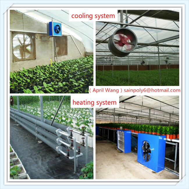 The Cheapest Glass Greenhouse for Hydroponic