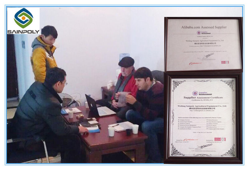 Wholesale PC Sheet Greenhouse for Agriculture