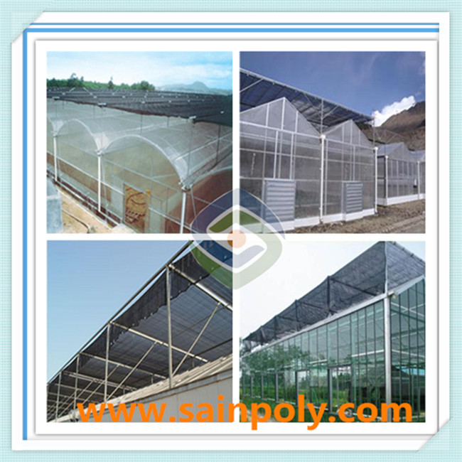 The Cheapest Multi-Span PC-Sheet Greenhouse for Potato
