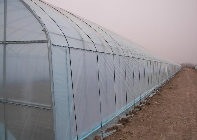 Commercial and Multi-Span Tunnel Greenhouse