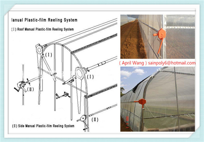 Wholesale Plastic-Film Tunnel Greenhouse for Sale