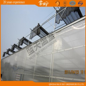 Durable Film Roof Greenhouse with Polycarbonate Sheet Wall