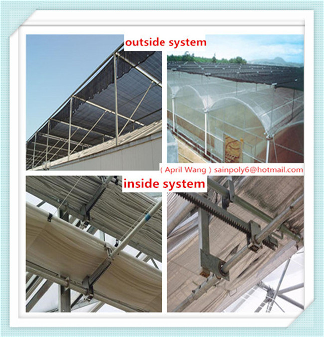 Wholesale Plastic-Film Tunnel Greenhouse for Sale