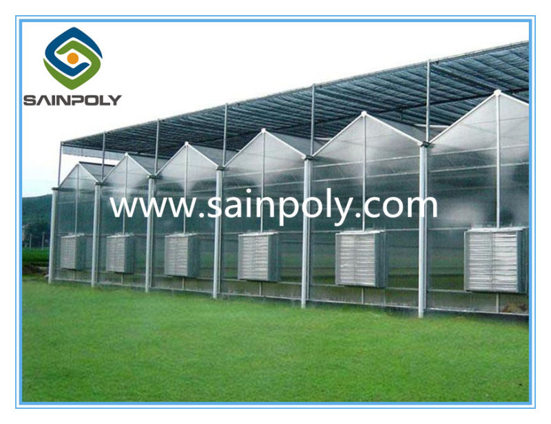Galvanized Pipe PC-Sheet Greenhouse for Sale