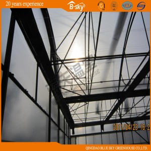Film Roof Greenhouse with PC Sheet Wall