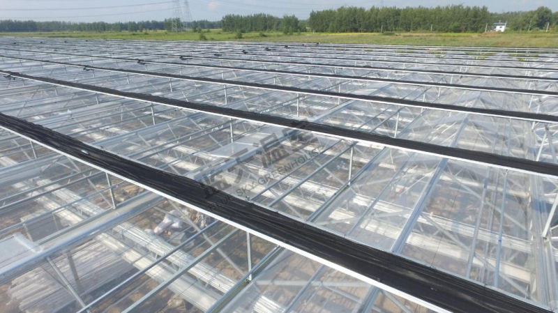 High Quality Good Appearance Glass Green House