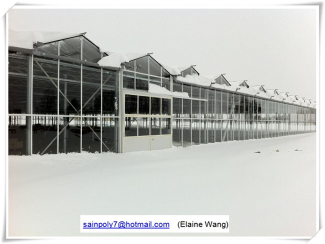 Factory Price PC Sheet Greenhouse with Hydroponic System for Flowers