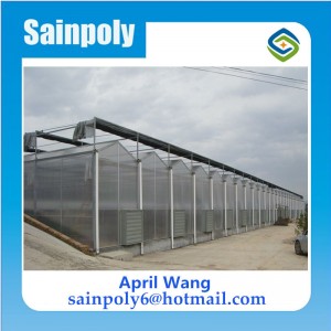 The Cheapest PC Sheet Greenhouse for Agricultural
