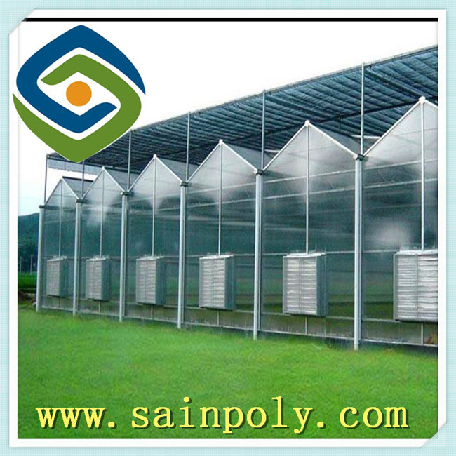 The Cheapest PC Sheet Greenhouse for Plants