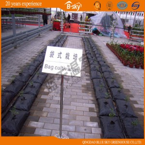 Polycarbonate Sheet Venlo Type Greenhouse