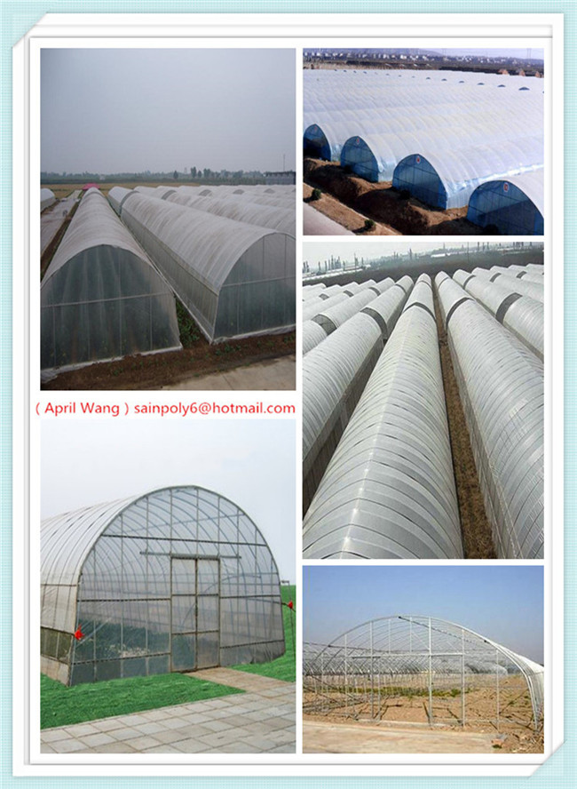 Wholesale Plastic-Film Tunnel Greenhouse for Sale