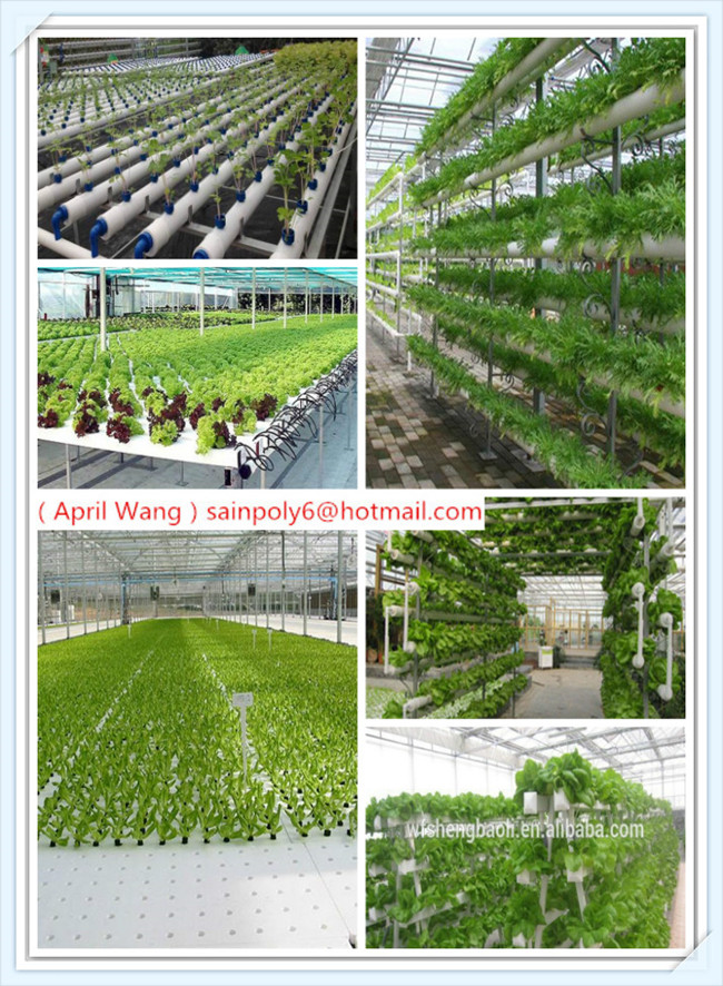 The Cheapest Glass Greenhouse for Vegetable