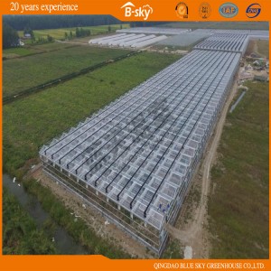 High Light Transmittance Long Life Span Glass Green House