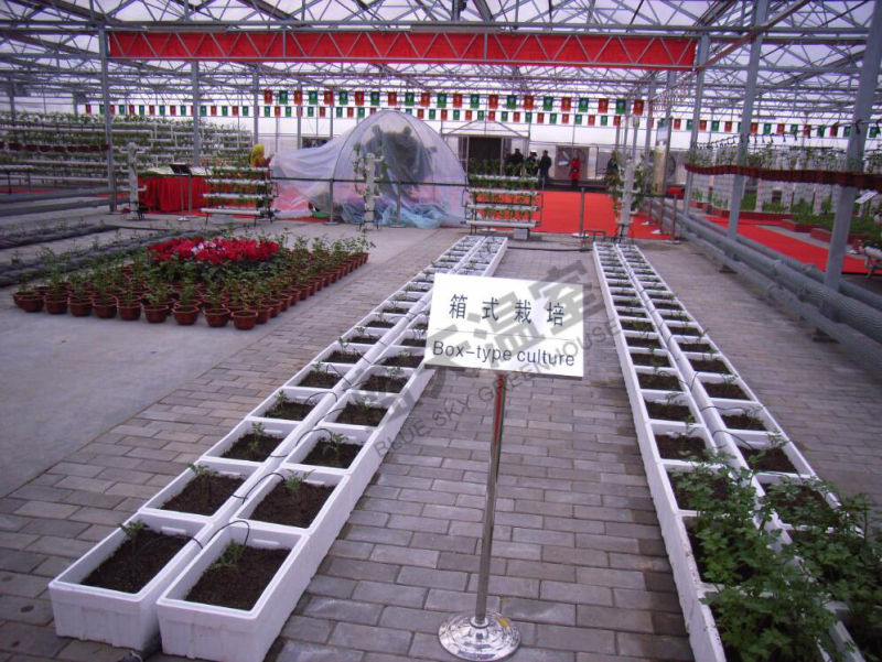 High Yield Polycarbonate Board Multi-Span Greenhouse