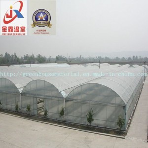 Commercial and Multi-Span Tunnel Greenhouse