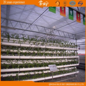 High Quality Polycarbonate Sheet Green House for Planting Vegetables