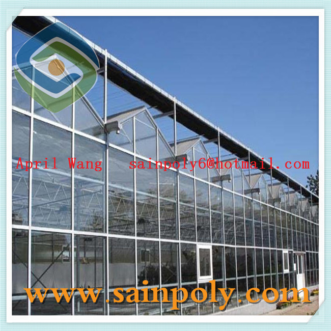 Hot Sale Glass Greenhouse for Plants