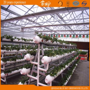 High Yield Polycarbonate Board Multi-Span Greenhouse
