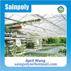 Easilly Installed Glass Greenhouse for Agricultural