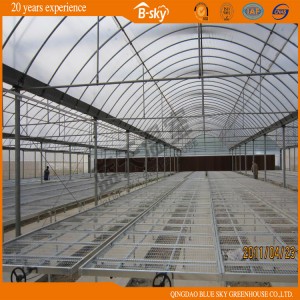 Film Roof Greenhouse with Polycarbonate Sheet Around