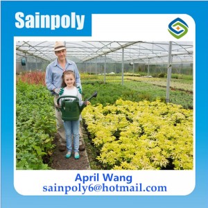 The Cheapest PC-Sheet Greenhouse for Flowers