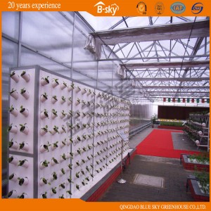 Long Life-Span Polycarbonate Board Multi-Span Greenhouse