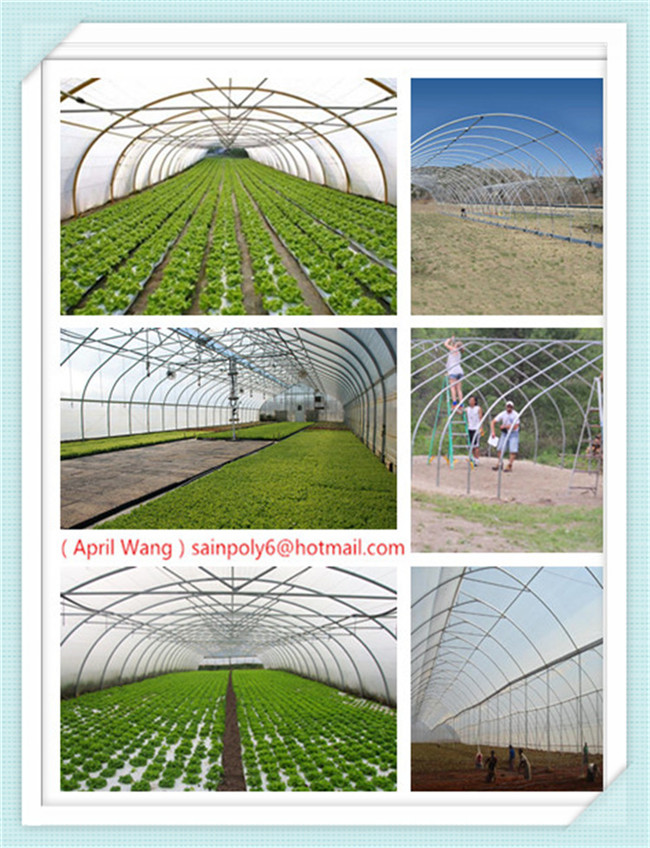 Wholesale Plastic-Film Tunnel Greenhouse for Sale