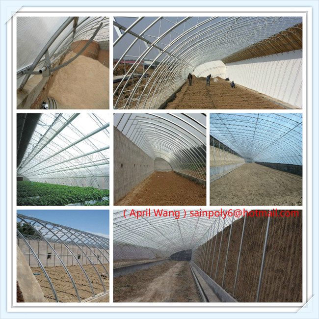 High Quality Solar Greenhouse for Potato