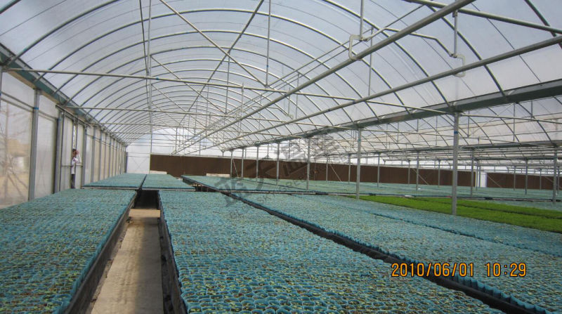 High Quality Multi-Span Film Greenhouse for Seeding