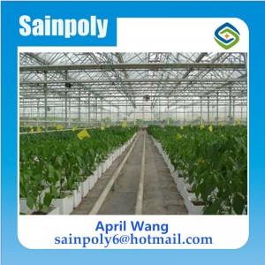 Wholesale PC Sheet Greenhouse for Agriculture