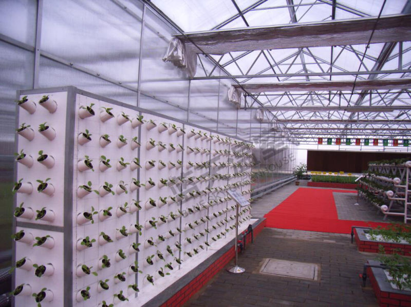 Durable Polycarbonate Board Multi-Span Greenhouse