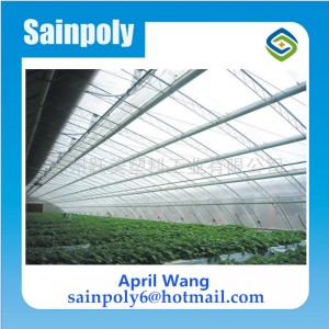 High Quality Solar Greenhouse for Potato
