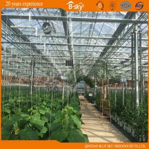High Quality Glass Greenhouse for Agricultural Planting