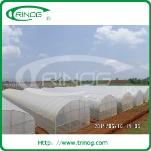 Poly tunnel greenhouse with side wall vent