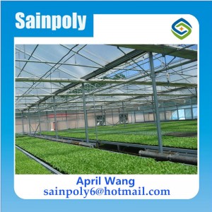 High Quality PC-Sheet Greenhouse for Potato