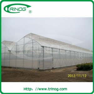 5-layer poly film green house for large farm