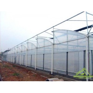 Zigzag Roof Film Greenhouse Feilong