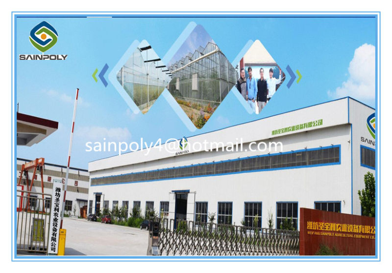 Best Vegetable Growing Hydroponic Greenhouse for Sale