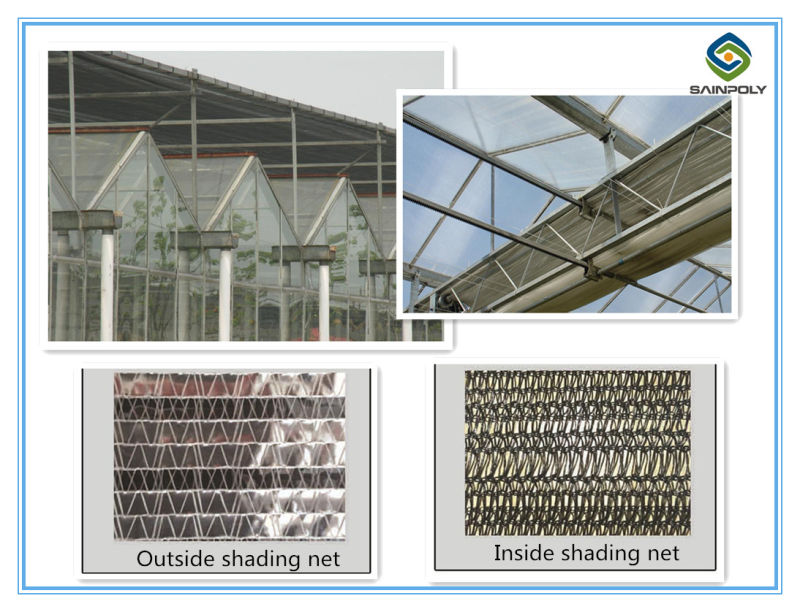 Good Daylighting & Fire Retardant Vegetables Greenhouse