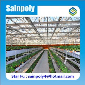 China New Design PC Greenhouse for Commercial
