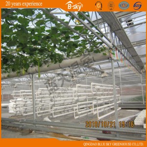 Widely Used Glass Greenhouse for Planting Vegetables and Fruits