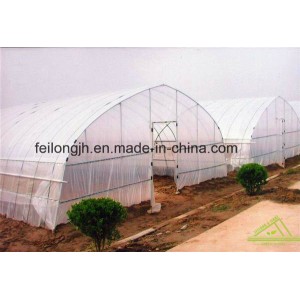 Single Span Tunnel Film Greenhouse