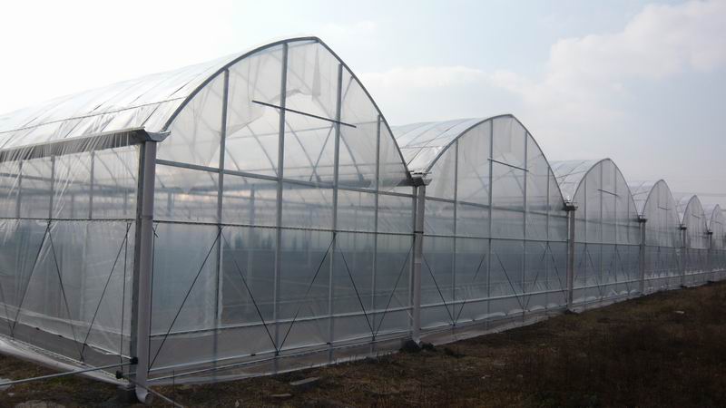 Galvanized Pipe Use in Greenhouse