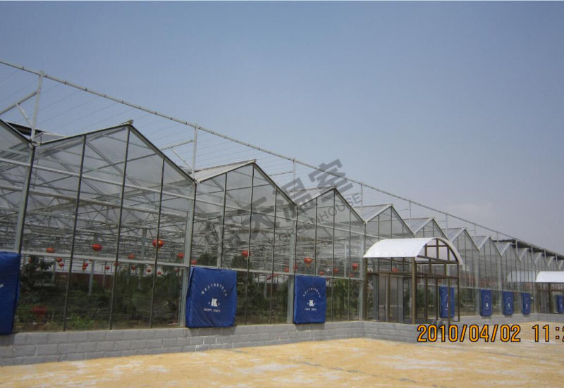 Beautiful Multi-Span Glass Greenhouse with Long Life-Span