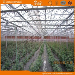 Good Appearance Venlo Type Multi-Span Greenhouse for Agricultural Planting