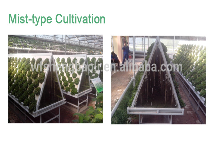 China Supplier Hydroponic Greenhouse for Sale