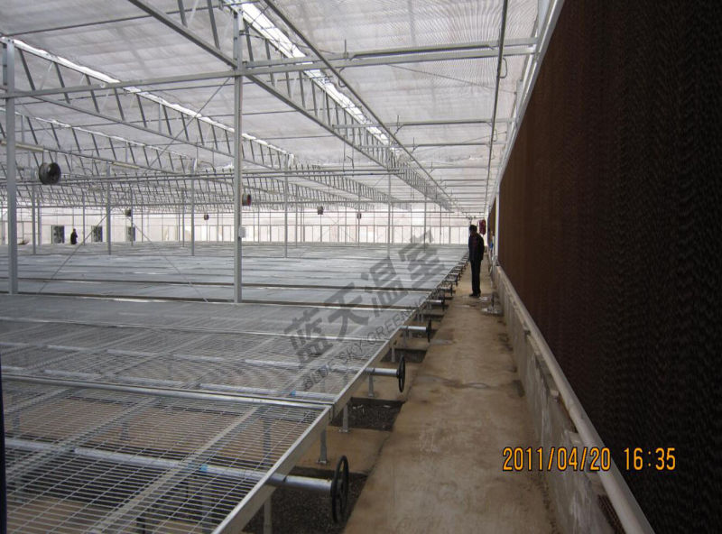 Multi-Span Polycarbonate Sheet Greenhouse