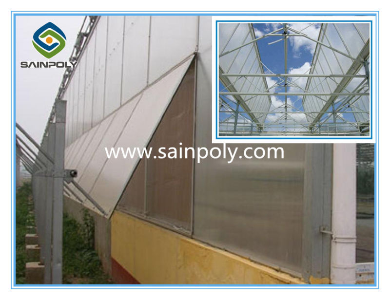 Large Best Quality PC-Sheet Greenhouse for Sale