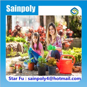 Flower Used Multi-Span Film Greenhouse for Agricultural