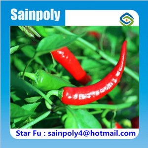 Single Span Tunnel Greenhouse for Agricultural Pepper